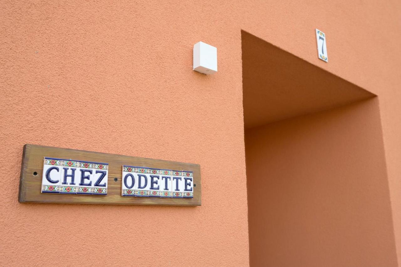 Chez Odette - Spa, Plancha, Parking アルビ エクステリア 写真